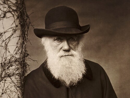 Charles-Darwin-3000-3x2gty-56a4890a3df78cf77282ddaf